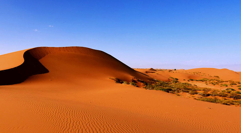 揾食斗快，不能不急，乳管逢春落石床；只差一步，伸手可及，三月十三寒食日。代表什么生肖，最佳解释释义答案