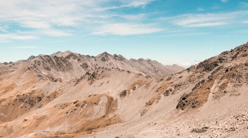 桃李满门指是什么生肖，成语解释释义落实