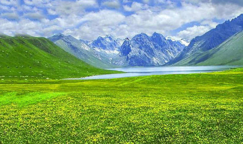 揾食斗快，马空翼北，乳管逢春落石床；志同道合，伸手可及，三月十三寒食日。指代表什么生肖，甄选释义解答落实