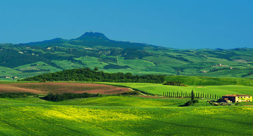 纵有钱财，无处挥霍。号令不行也落寞指代表指最佳准确生肖  经典释义词语解释