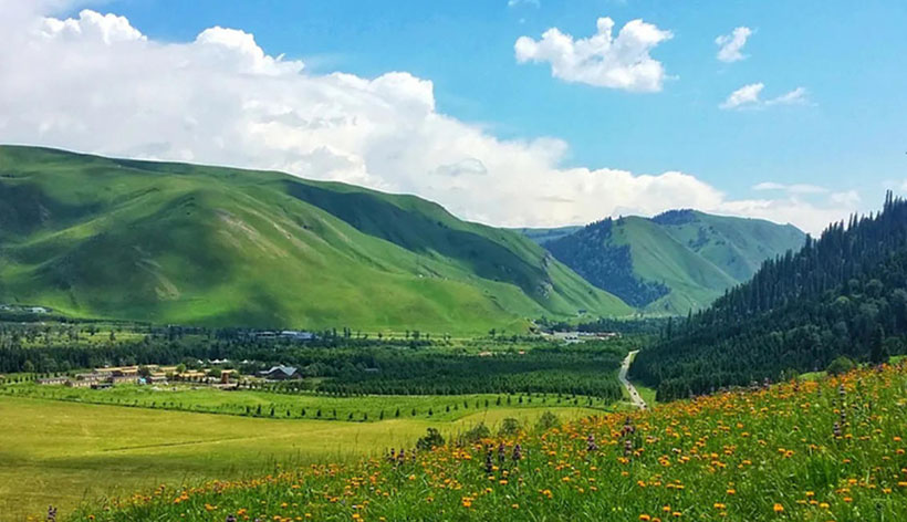 暗思何事断人肠，新愁常续旧愁生猜打一最佳正确生肖，最佳释义解析成语
