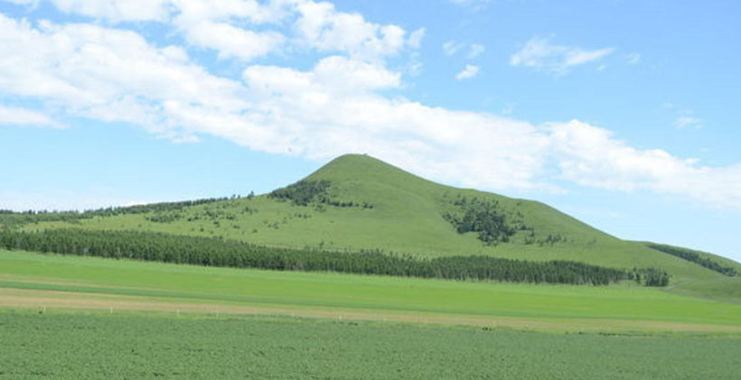 今期生肖三七开，三四组合有财气指什么准确生肖 最佳成语解释释义
