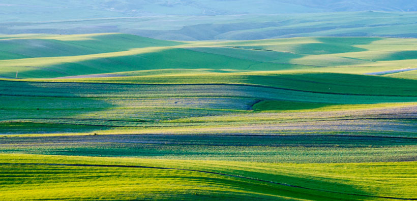 护送唐僧成正果，千载难逢好机会指代表什么生肖 猜解哪一个最佳成语解释落实释义
