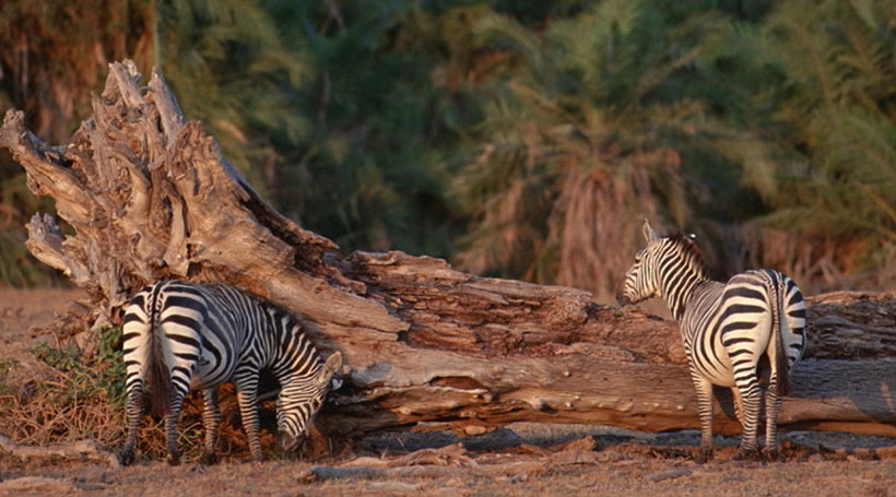 微软速度感人！Win10最后一个更新致键鼠失灵：时隔5个月终于修复