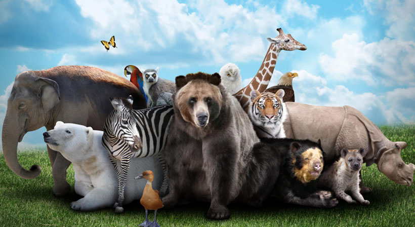 试呼小艇访孤山，春风底事轻摇落猜打代表准确生肖  最佳释义谜团精选解释