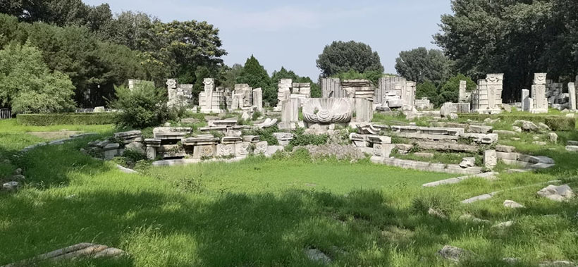 欲钱看灯笼壳子指是指哪个生肖  详细解答落实