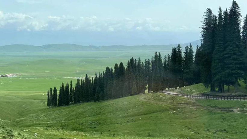 佛州男子过度迷恋“AI娇妻”自杀身亡 家属起诉谷歌Gemini