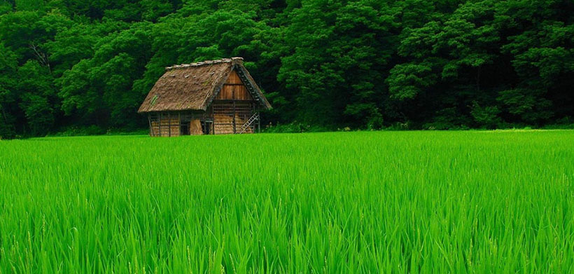 特朗普施压见效！亚马逊谷歌等7家科技巨头签署自主供电承诺