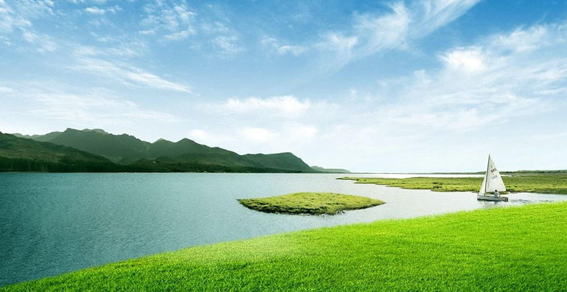 一声相呼百处鸣打一生肖最佳准确什么生肖 词语作答甄选解释赏析探究落实