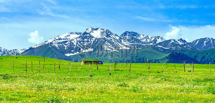 志同道合（马空翼北）猜指打一最佳准确生肖,代表是什么生肖 词语作答精选释义解释汇总