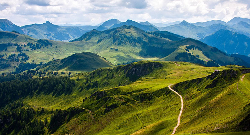 今期生肖三七开，三四组合有财气指代表是什么生肖，词语解析解答落地