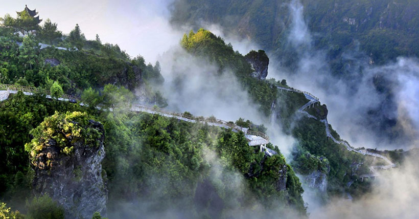 一声相呼百处鸣指打一正确生肖 释义谜底分析解读