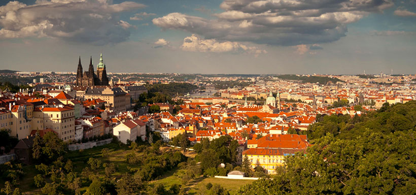 欲钱看肉案上的买卖指什么生肖、最佳谜底落实解释