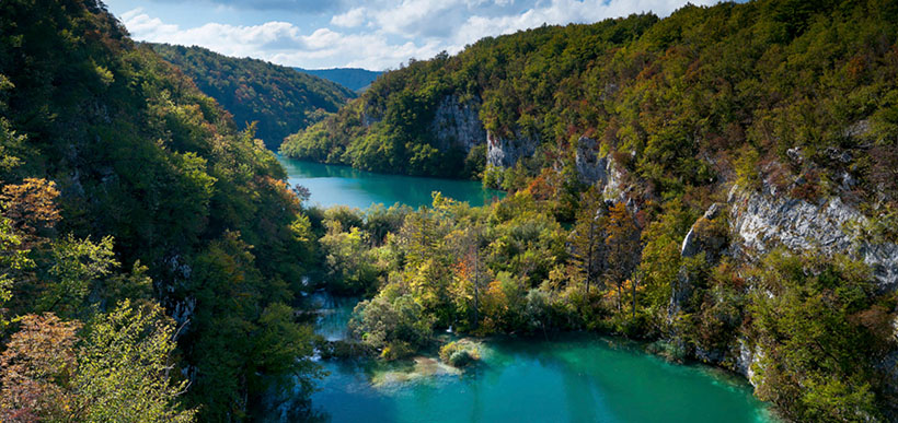 孩童几个雪地玩指是代表什么生肖，最佳释义解析成语