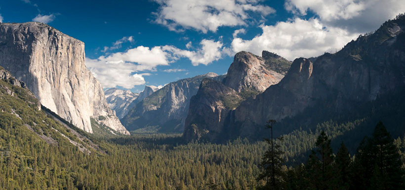 每逢佳节倍思亲，牛肥羊壮吃青草指什么生肖  猜打一最佳正确生肖词语解释释义落实