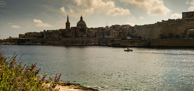 今期狗龙猪出特，一声相呼百处鸣是指代表什么最佳正确生肖 词语落实释义解释