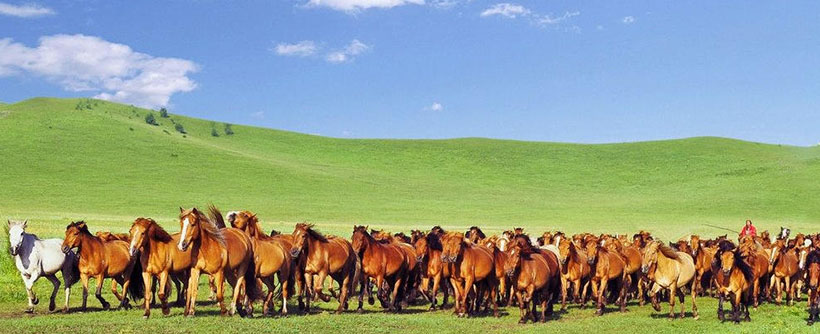 牛鬼蛇神合数来好名多磨过三河猜一生肖 指打最佳精准答案独家解释释义