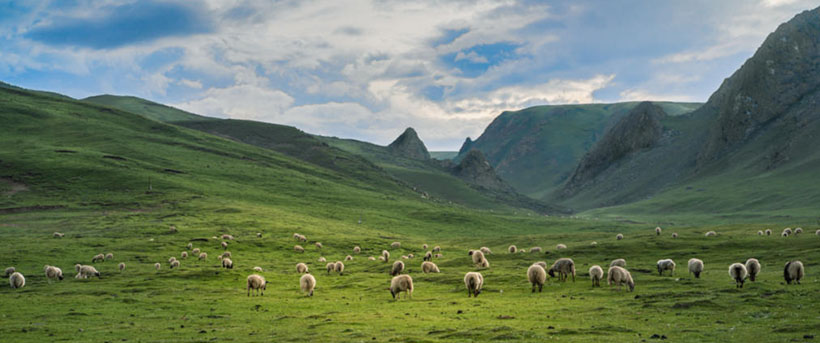 安卓生态巨变！谷歌向Epic妥协终结5年全球官司：开放第三方商店/支付